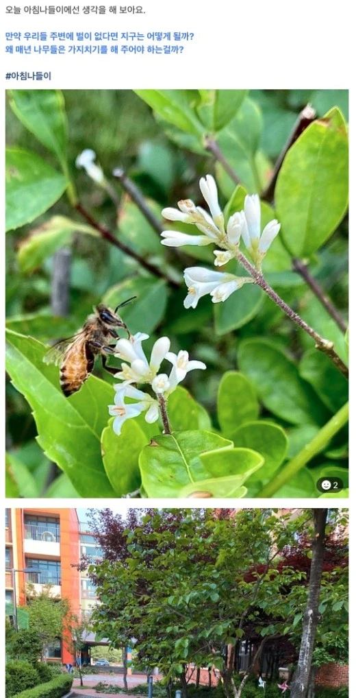 4_cigUd018svc1sm4zy7xvqakp_avjrcv.png?type=w520