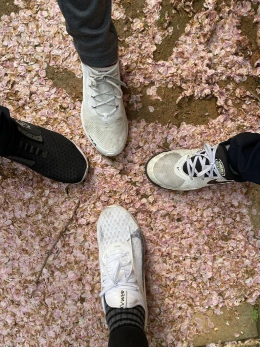 e_fiaUd018svc17nfe1jomqrfu_avjrcv.jpeg?type=w520