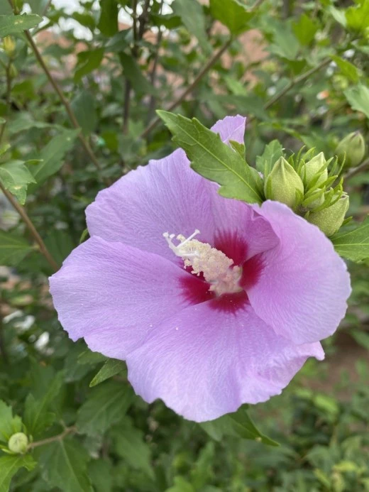 8_7j0Ud018svcydhe5wj9hr77_avjrcv.jpeg?type=w520