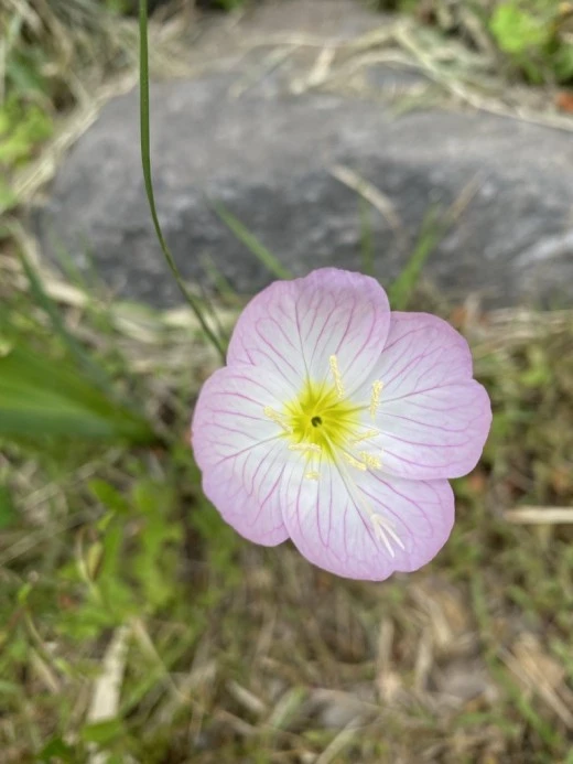 6_fidUd018svc1ilk30vov3i7h_avjrcv.jpeg?type=w520