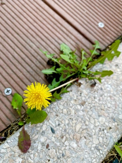 8_9j0Ud018svckfgm03kk1lfo_avjrcv.jpeg?type=w520