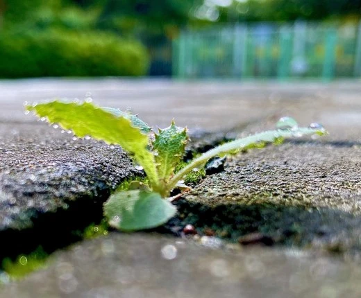 e_6idUd018svcrzmwgtvzzyog_avjrcv.jpeg?type=w520