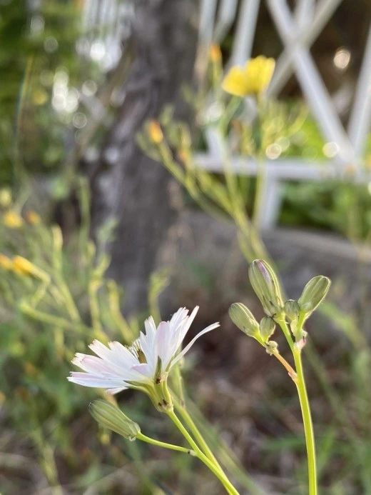 e_iiaUd018svc1uc3nmldih84r_avjrcv.jpeg?type=w520