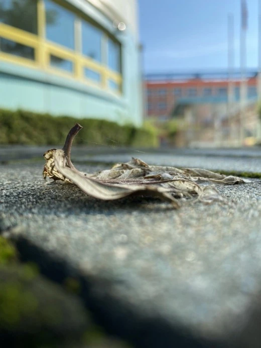 8_aj0Ud018svctloplowzs4bv_avjrcv.jpeg?type=w520