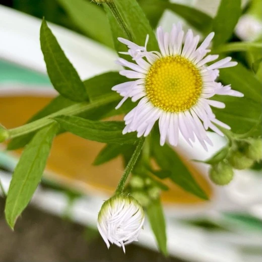 j_higUd018svc1b2g72a0wkbrn_avjrcv.jpeg?type=w520