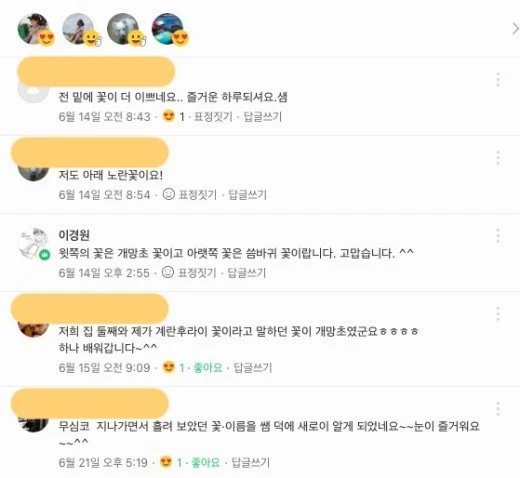 d_5ifUd018svc1nfpekgldcqu6_avjrcv.png?type=w520