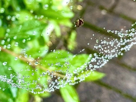 6_gidUd018svc1njcat8srz7he_avjrcv.jpeg?type=w520