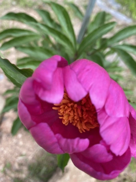 6_fidUd018svc160j70r76gitt_avjrcv.jpeg?type=w520