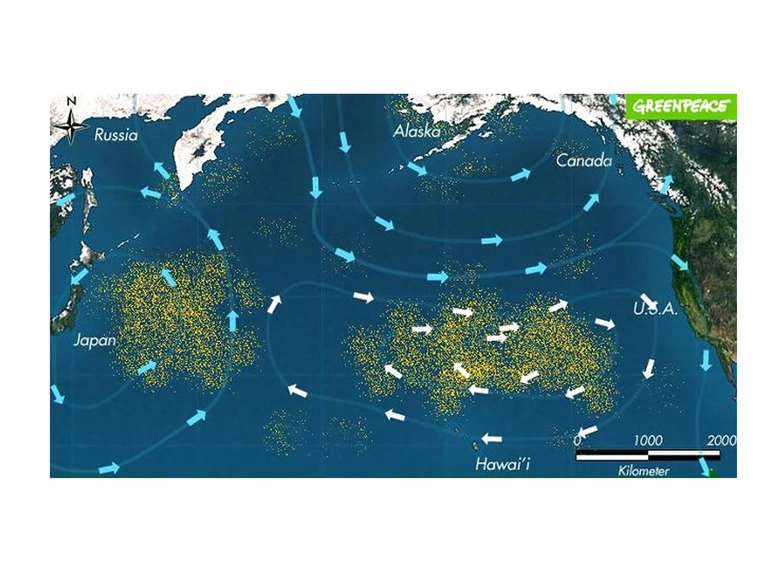 Untitled-1.png?type=w773