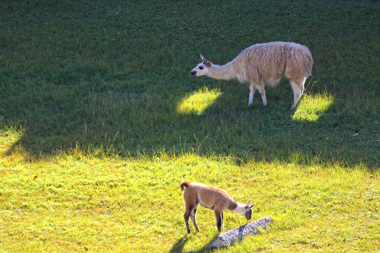 IMG_3669 (2) copy.jpg