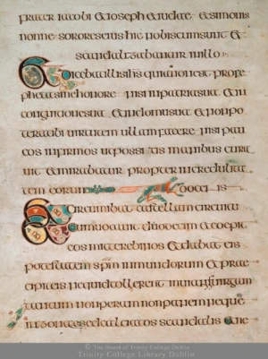 2yqb8s26.png?type=w1