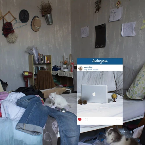 instagram-picture-cropping-truth-slowlife-chompoo-baritone-thailand-8.jpg?type=w1