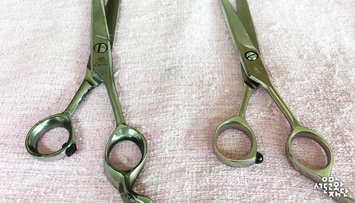 IMG_10_%C0%CC%B3%B2%BF%AD-%BE%BE%B0%A1-%B0%A1%C0%E5-%BE%C6%B3%A2%B4%C2-%BA%B8%B9%B0%B0%A1%C0%A7.jpg?type=w2