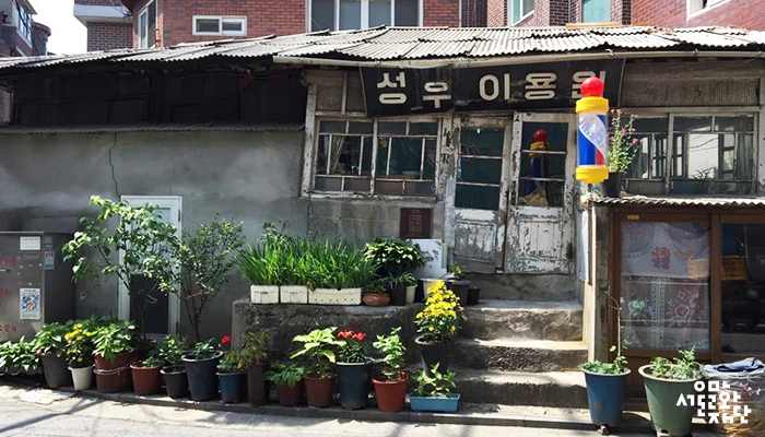 IMG_03_%B0%F1%B8%F1-%BE%EE%B1%CD%BF%A1-%BA%B8%C0%CC%B4%C2-%B3%B0%B0%ED-%BF%C0%B7%A1%B5%C8-%BC%BA%BF%EC%C0%CC%BF%EB%BF%F8.jpg?type=w2