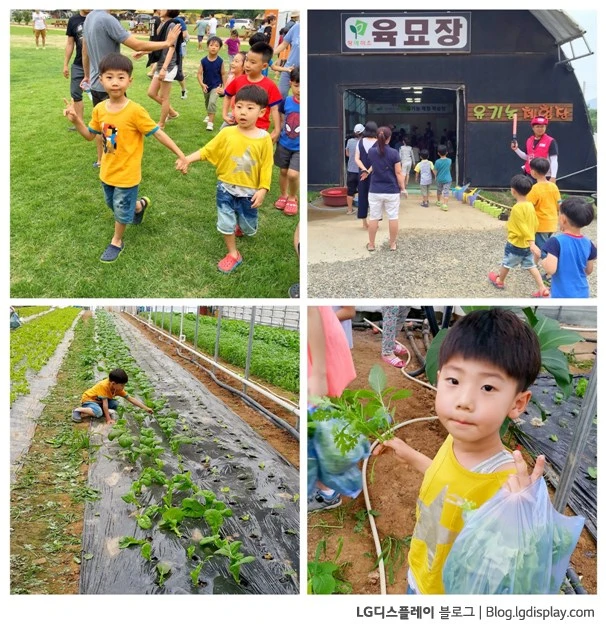 LGD-camping_4.jpg?zoom=2&resize=606%2C632