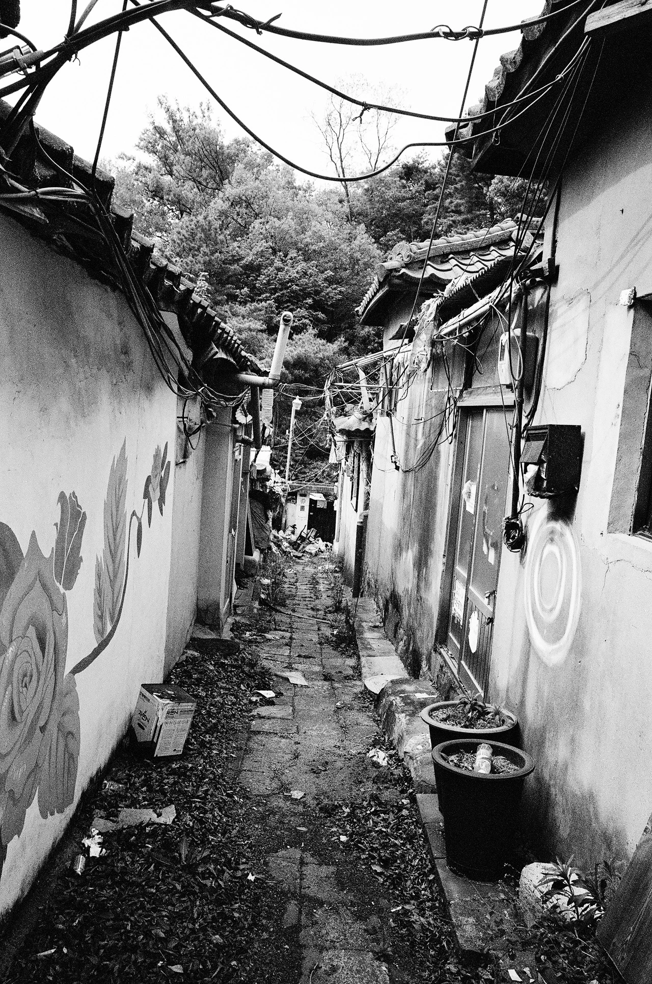 17. 달이 머물러가는 그 곳.jpeg