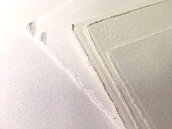 image_9997498361500632174095.jpg?type=w773