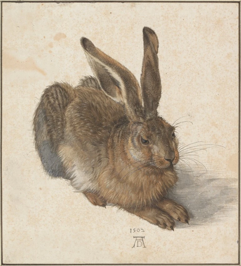 Albrecht_D%C3%BCrer_-_Hare%2C_1502_-_Google_Art_Project.jpg?type=w773
