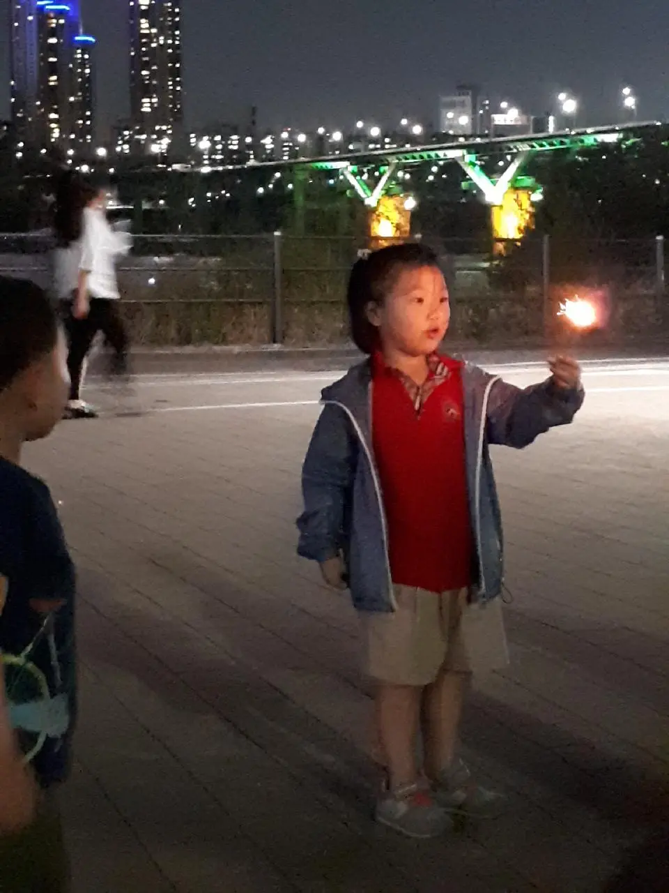 한강 불놀이.jpeg