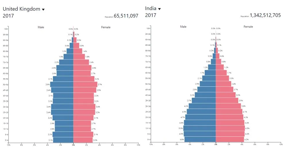 선진국 후진국 인구 피라미드.JPG