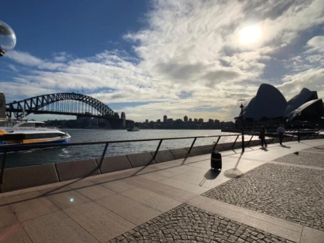 %EC%8B%9C%EB%93%9C%EB%8B%88.jpg?type=w1