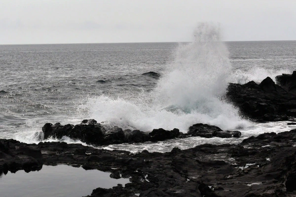 _щ엺 (2)_01_01.JPG