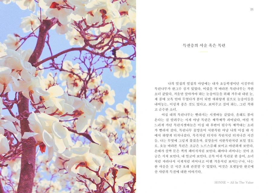 %BA%ED%B7%CE%B1%D7%BE%F7%B5%AB%BF%EB12124.png?type=w1