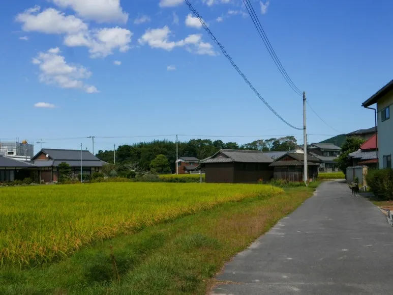 3472524744211264840_20231015131815938.JPG?type=w773