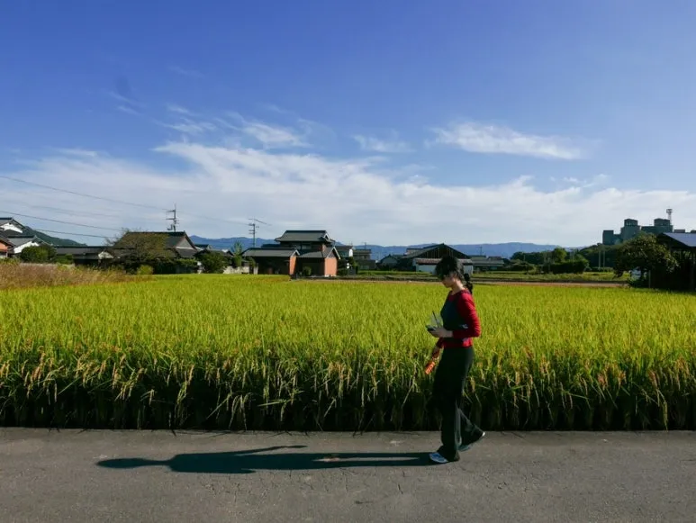 3472524744278279752_20231015132009645.JPG?type=w773