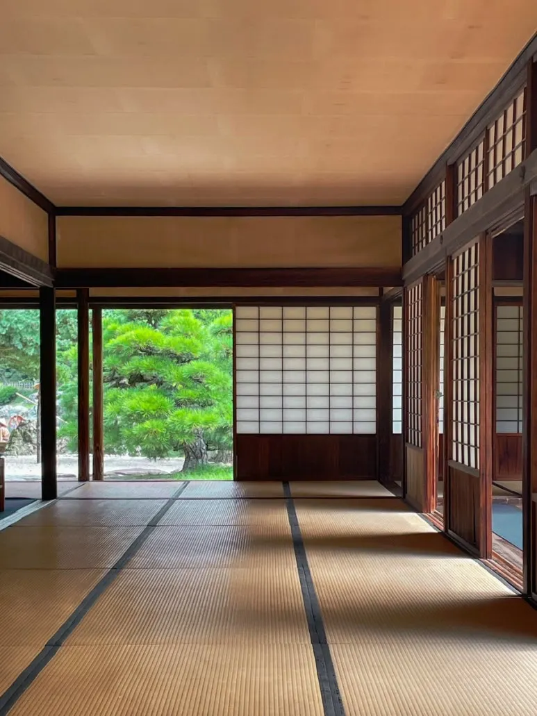 3472524836772749385_20231015134908287.jpg?type=w773