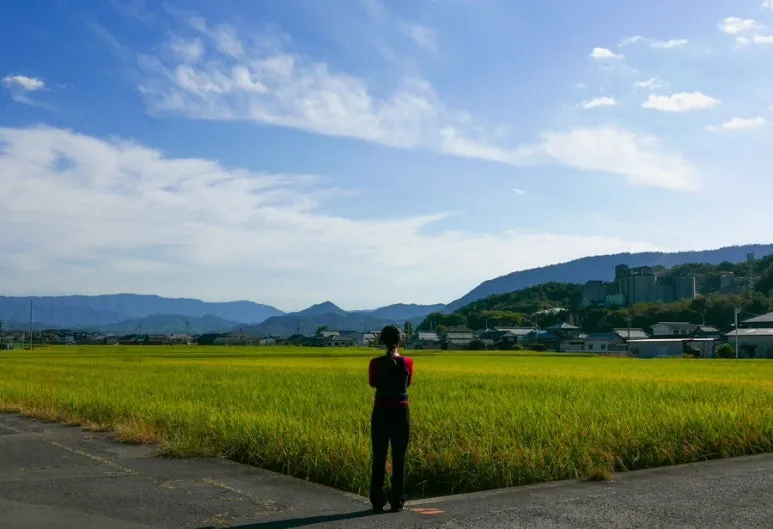 3472524744261992520_20231015131943065.JPG?type=w773