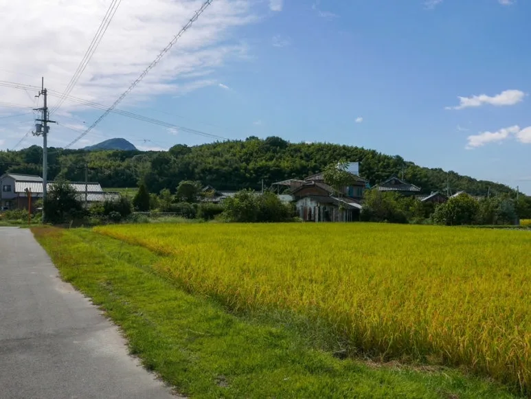 3472524744213648200_20231015131818405.JPG?type=w773