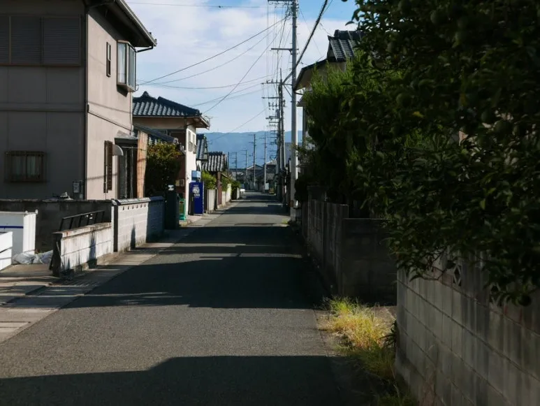 3472524744269941576_20231015131956198.JPG?type=w773