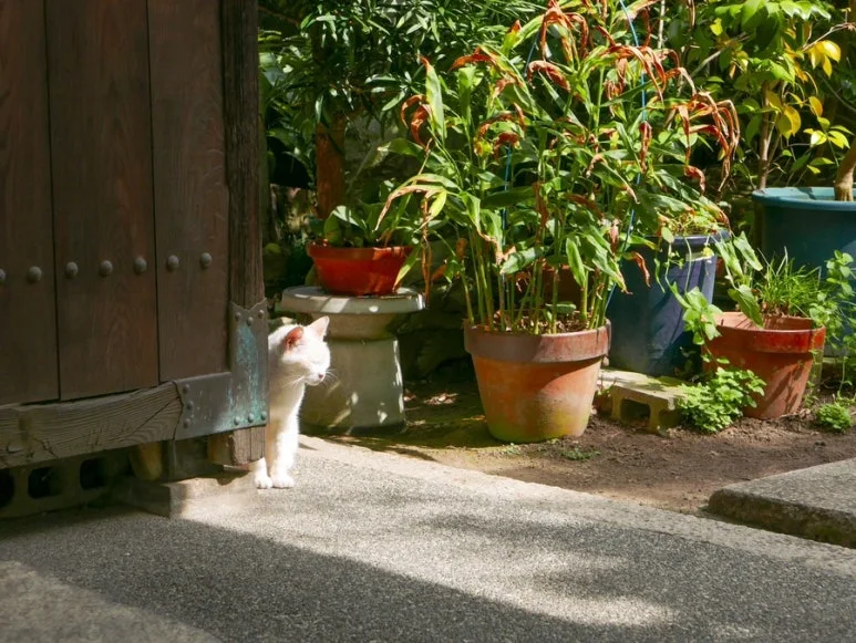 3472525243823688008_20231015134658694.JPG?type=w773