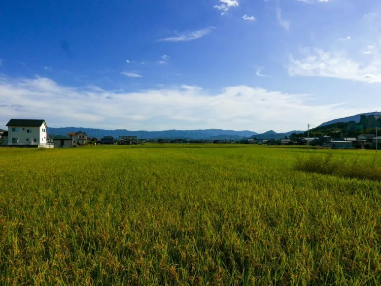 3472524744259935048_20231015131936933.JPG?type=w773