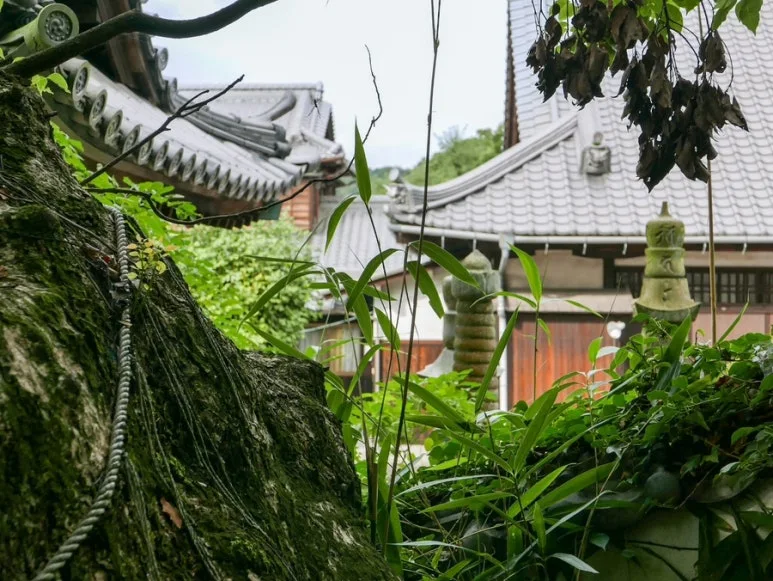 3472524744919214152_20231015134246079.JPG?type=w773