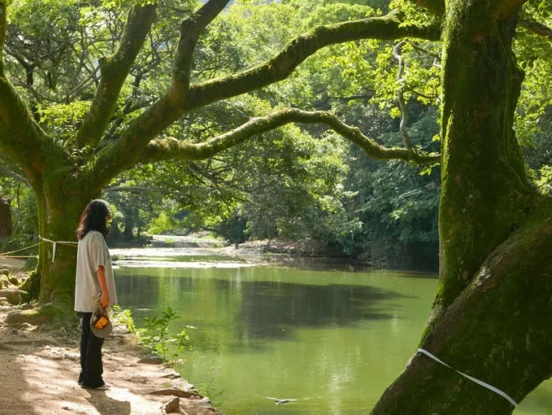 3472525243834503752_20231015134759606.JPG?type=w773