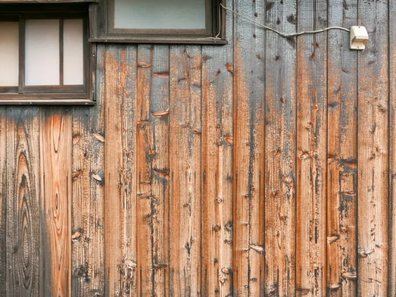 3472524744889537353_20231015134216164.JPG?type=w773