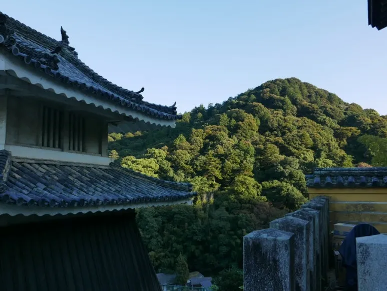 3472524744320016968_20231015132049627.JPG?type=w773