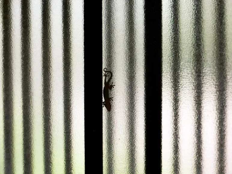 3472525243837359689_20231015134817174.JPG?type=w773