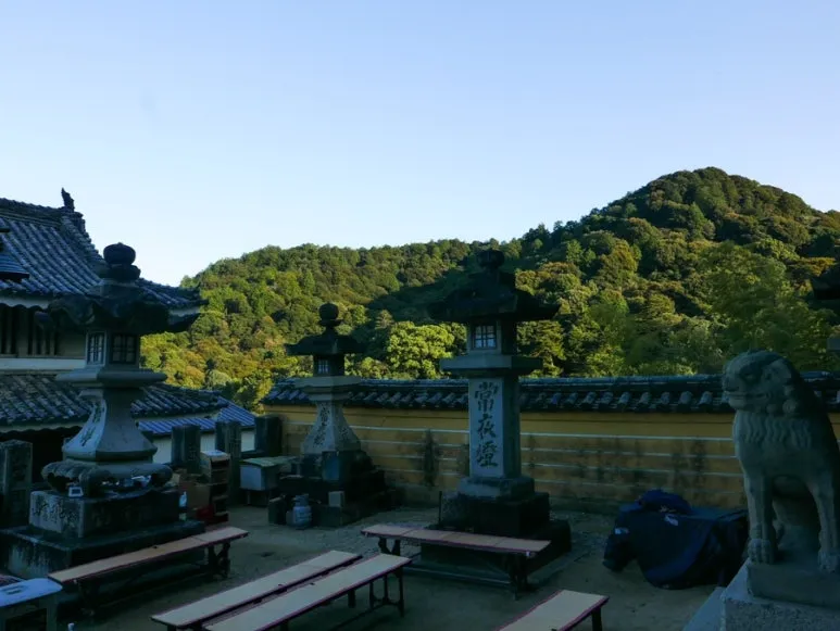 3472524744321191752_20231015132052610.JPG?type=w773