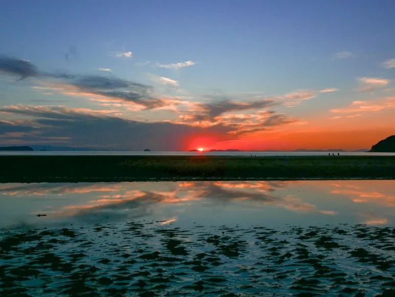 3472524744376631880_20231015132200272.JPG?type=w773