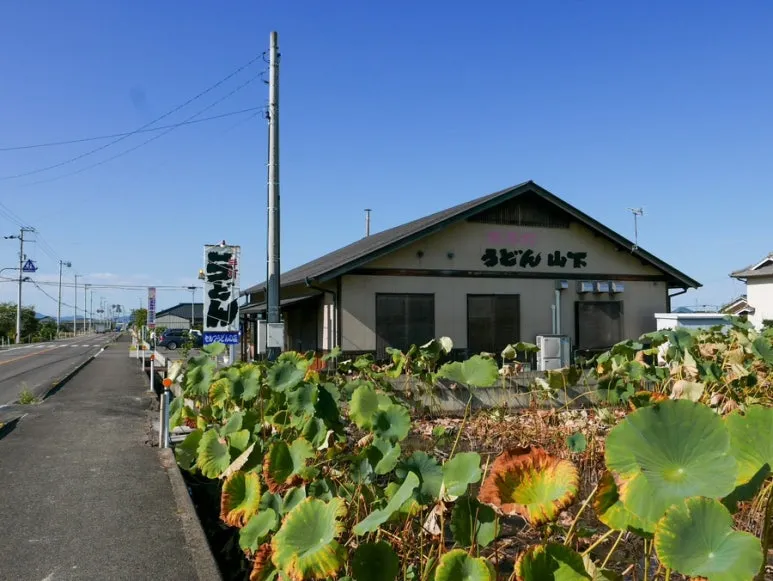 3472524744237893961_20231015131858069.JPG?type=w773