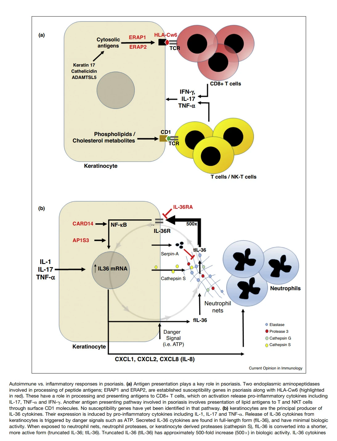 3RM5zJaYmiFkZowS2eIlF1ouzR83kevVUG5IDKoOuaEWAjhhDTlAclWvODzExQLcuya5KBGK0v_Z4LbtayWXIsve-RZh4TDJ_uzEA4b3rjMCU2jfuVoEyOLbzDvtBuLUlk1BL6cQ