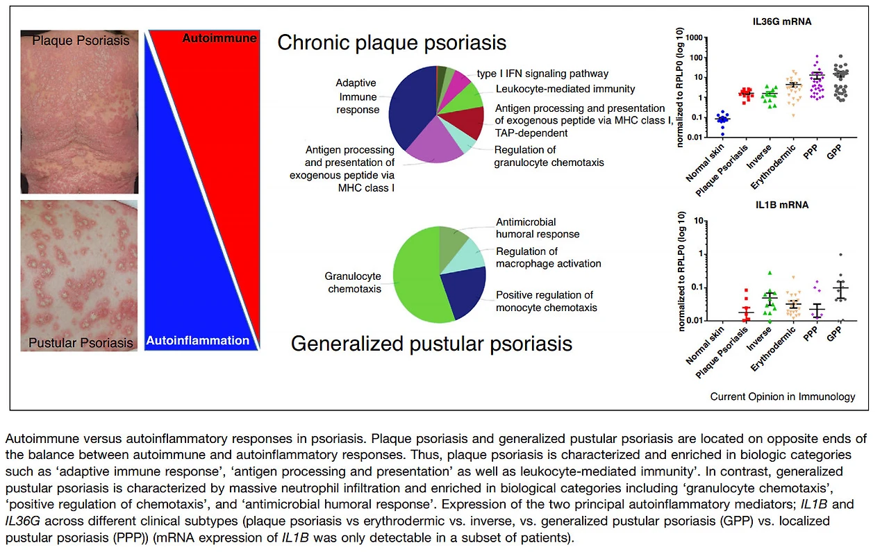 Vykby5Qv2cTrZU4ivjDG2Sdq1tmDMhePnOma-rnp5ZqahXQibrHlGkBJ-kQ7VFrCnGibcTMc2XuTansodxvbD6a_VlACbJRzFDymSBbdgZmj59rb2XtxieTjglQ8iQIHtuk6Am2v