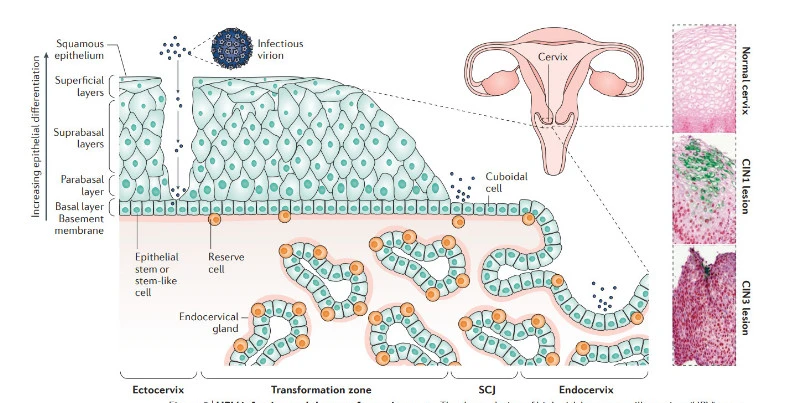 qrDuMMdJVP1Nb1EwwFKWjHGj3jGRHf9zEb39HuBKintxQLI99mFrfjh1EyWTZY9JcQj3QvpG4otCWMgBnwg3i49xAhqOsSGTPCr5KT-Nq55feEPLnh_uUeRNzWcmaDMvSi46HJr8