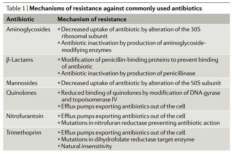 4ER0Q7kAOL9JesBPVPrU9hwq-pGjQNo6k-A5t5IodxitaRKdJZ9u_mZjsorjdESHMVyClqmMhhB3-8AxOZptF4X7Sg6yRa3qm6BSjCzuD_Ruh01p-0VXEG-uZf30yDepnMGkpFNa