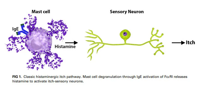 WtlDMoNTBge7WMSixNZQCSL71oL-GhVQtkzVCUwrAXtyKuFVqkvuv7tDPxrK6GN5EU7utZU1_BaJUmKWx_1e_-EkHk4z_PjI1XOBe2HdfjcOlZvK64LTmEaVqgn0N189I63dzNvu