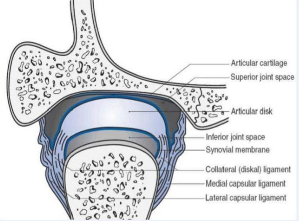 Rst_jcTtFz6w0jzWzetfQwun-172eGgN-qYwUazp8rDKKIh97Ll_aNNWV2LFD81WZP0QwnvPB8evdfLdXM3yCPd1ZGM_OBrm5N5PqzdF7MOLHsAvBL519e6xKQDua-9Wfj81FkZ1