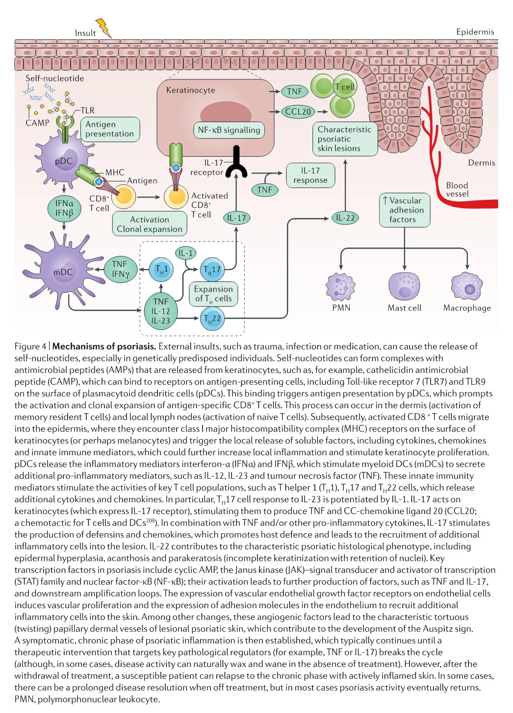 YqVRlrSX2wpOMeRuRMvm05p723Hko4uiE1OuYvbZj8rfjFq1Il7JNKfCguTFoeOgc5W-Z22lPyqoB8Nj9zd9Lrd2urBGzo46Qpc4W4kXTPIU9eE1mpj8hLhvtoSafRhkVjbzi1t4